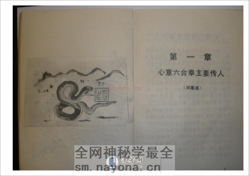 《心意六合拳》李新民 - 第9页预览图