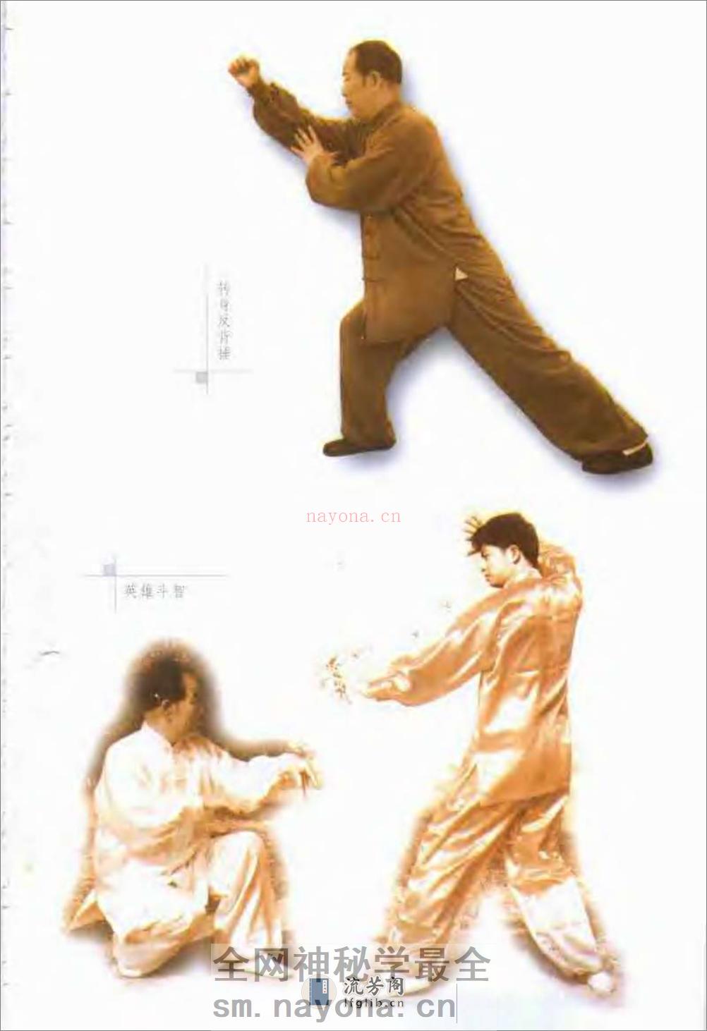 《心意拳真谛》马琳璋 - 第7页预览图
