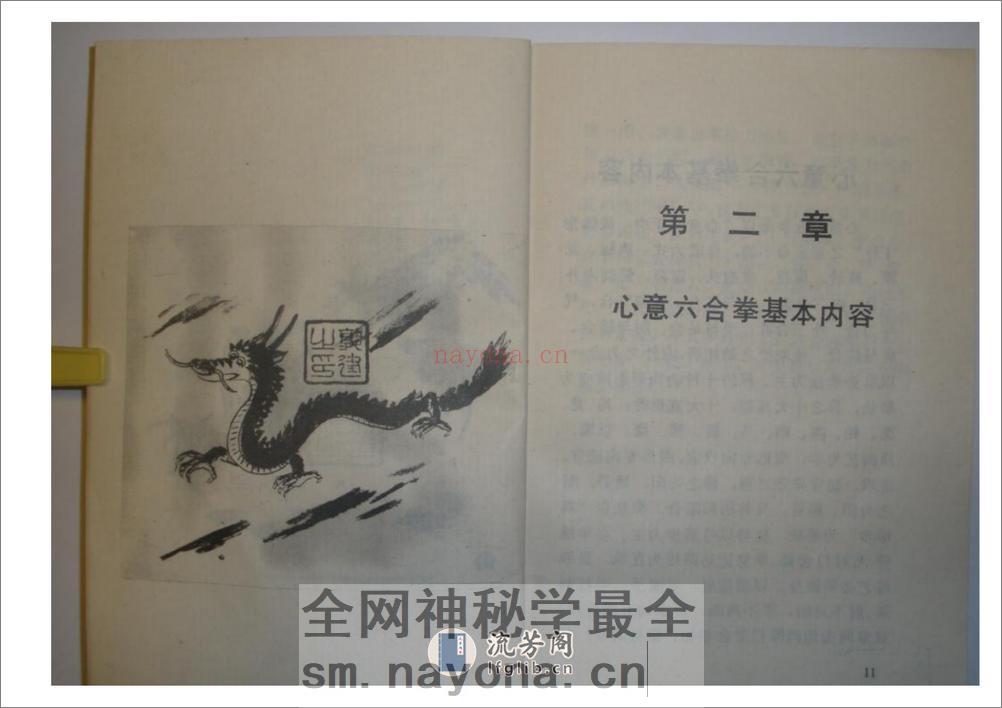 《心意六合拳》李新民 - 第12页预览图