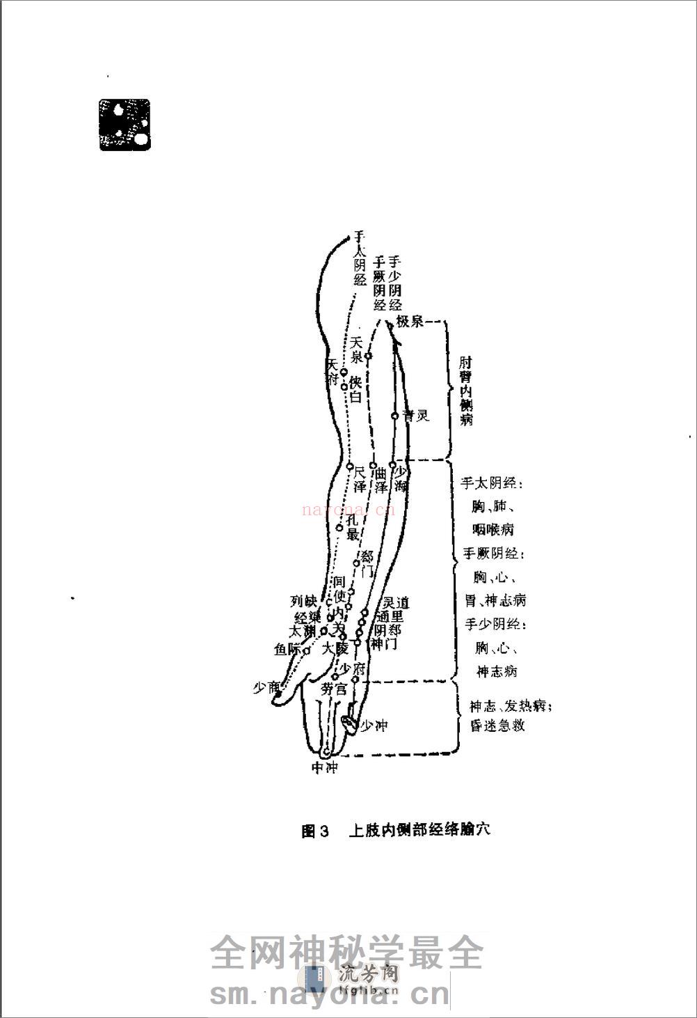 保健按摩100招：颈肩臂（周华龙） - 第16页预览图
