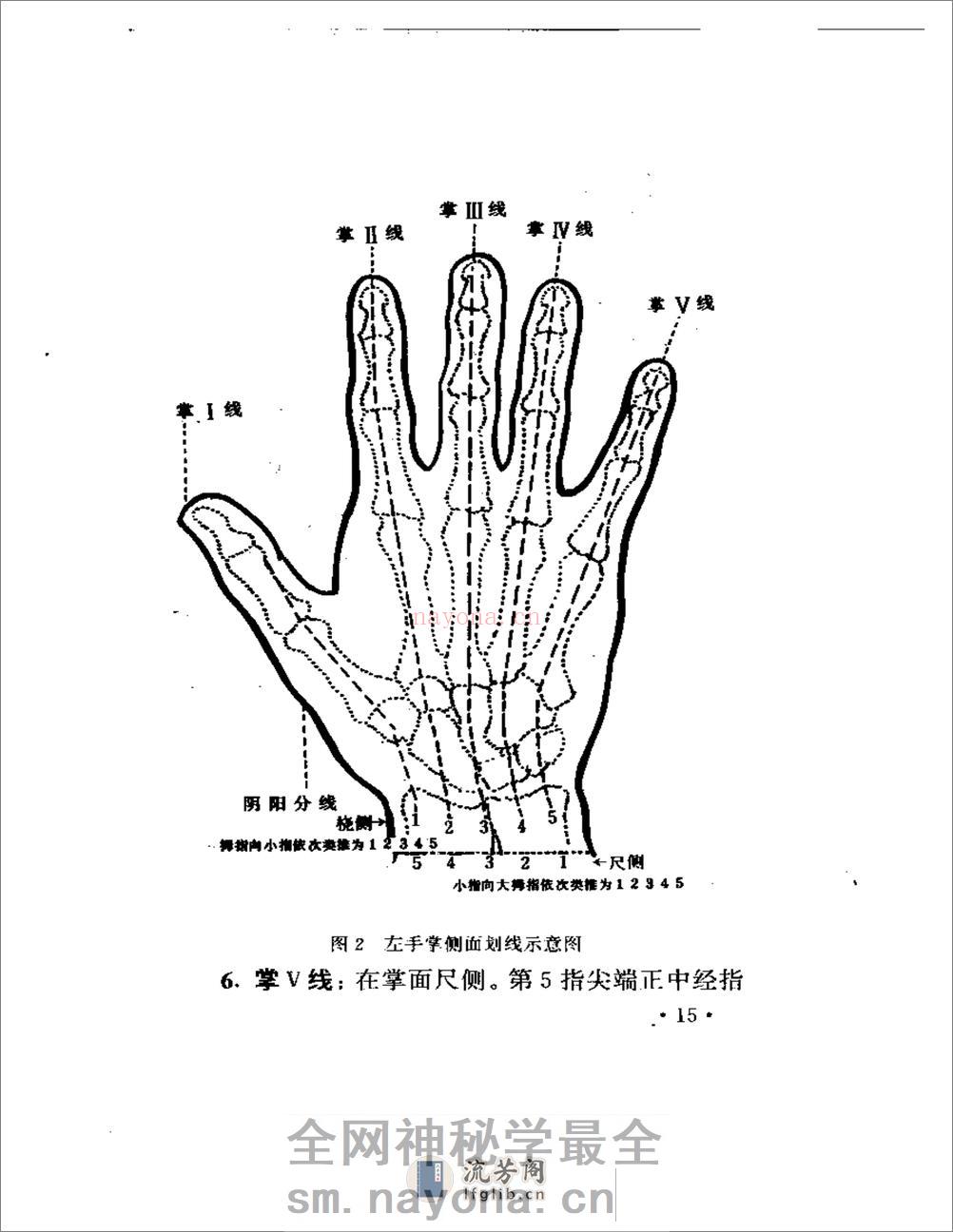 手象针与足象针（方本正） - 第19页预览图