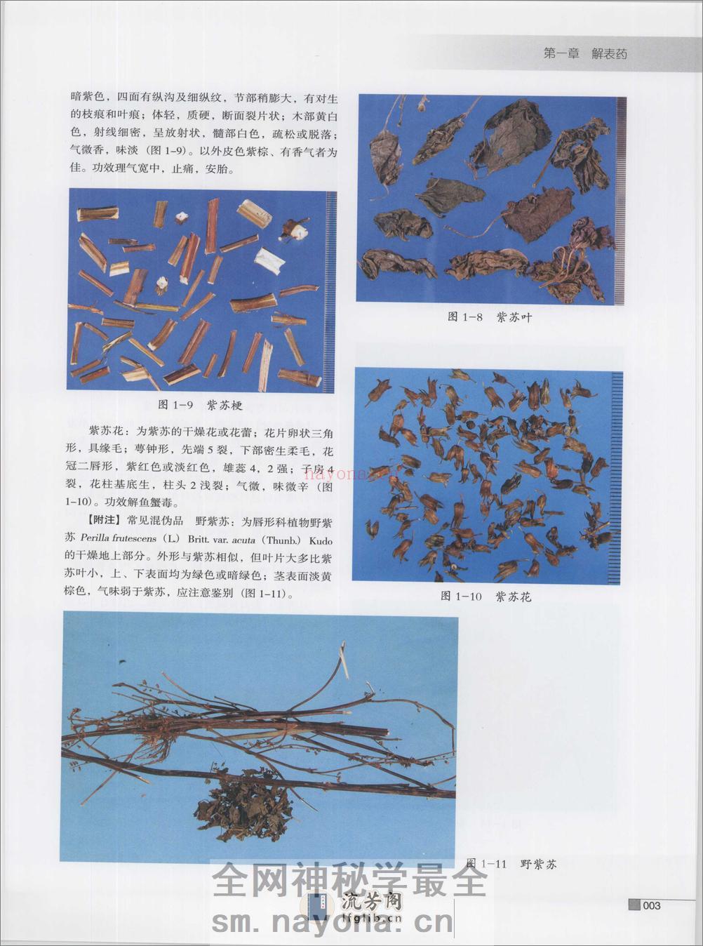 常用中药炮制品彩色图谱（高清版） - 第14页预览图