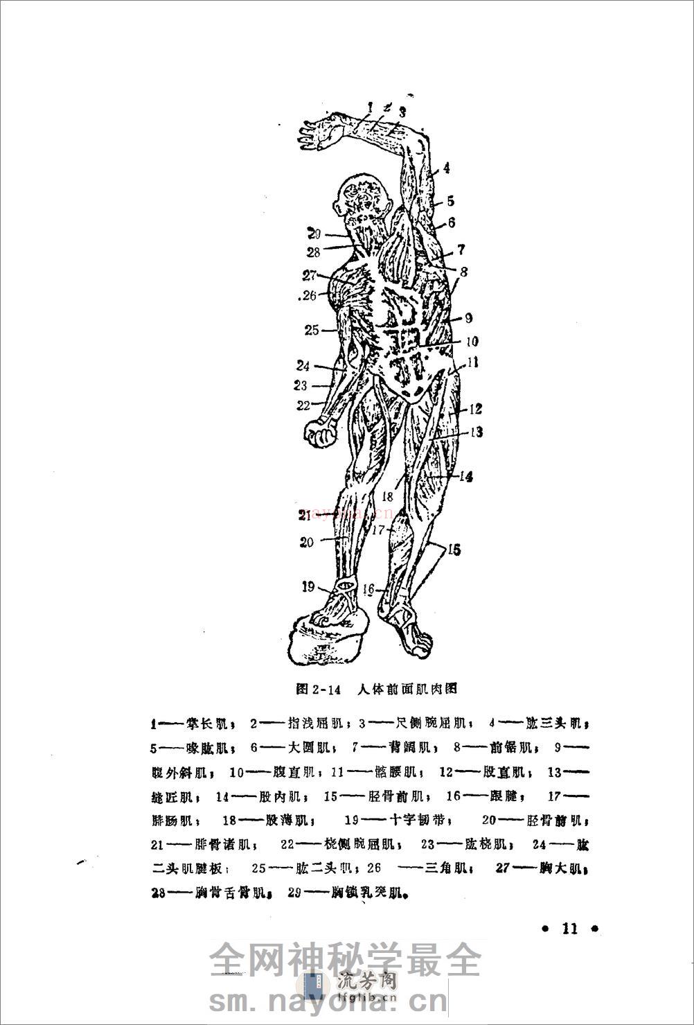 《腿击法108势》 - 第14页预览图