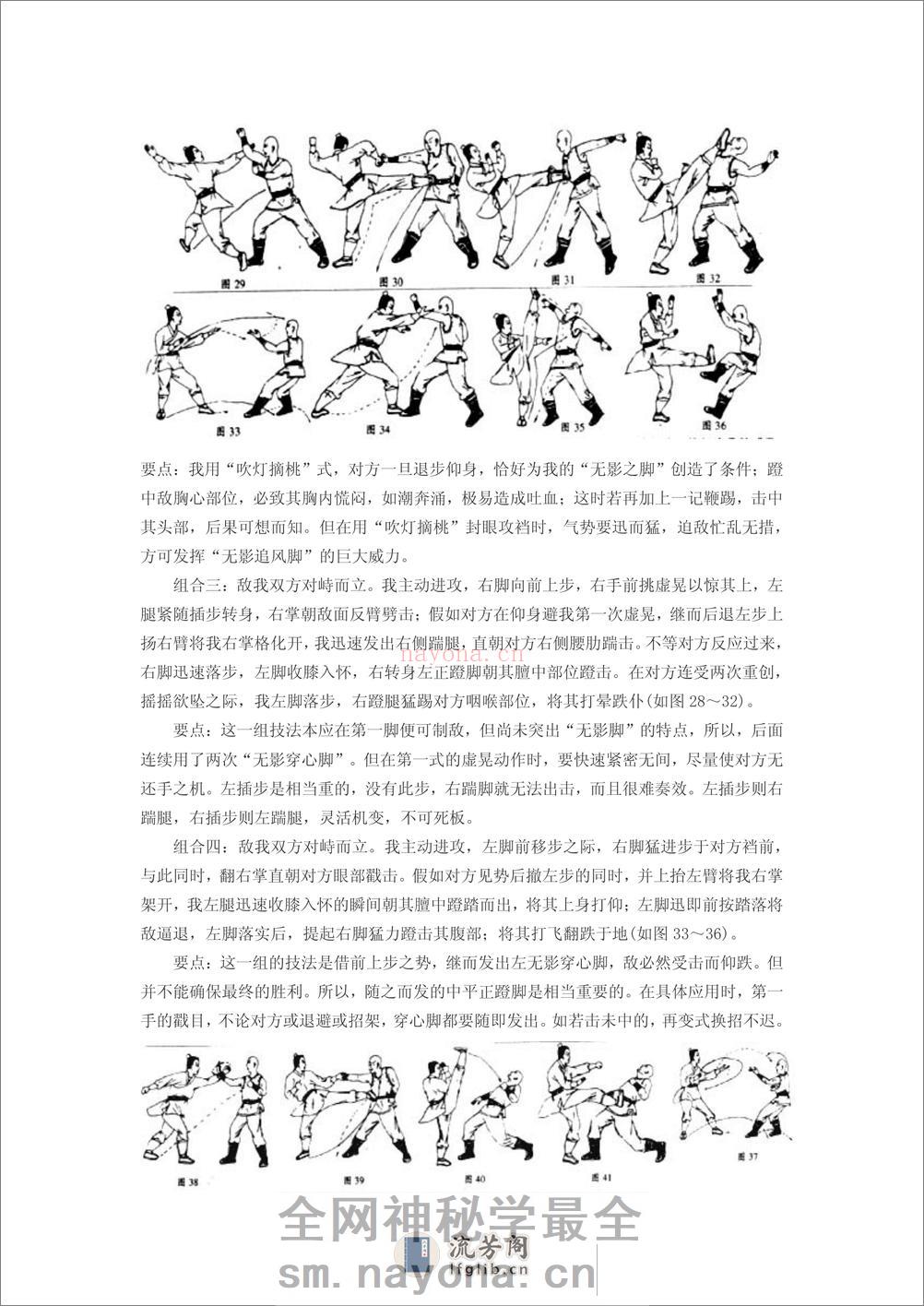 《武当流通门秘传散招：无影追风》凌召 - 第4页预览图