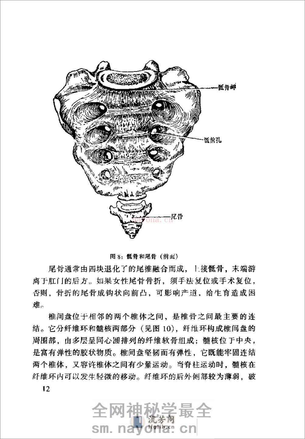 [齐氏气功快速自我祛病法].齐永 - 第16页预览图