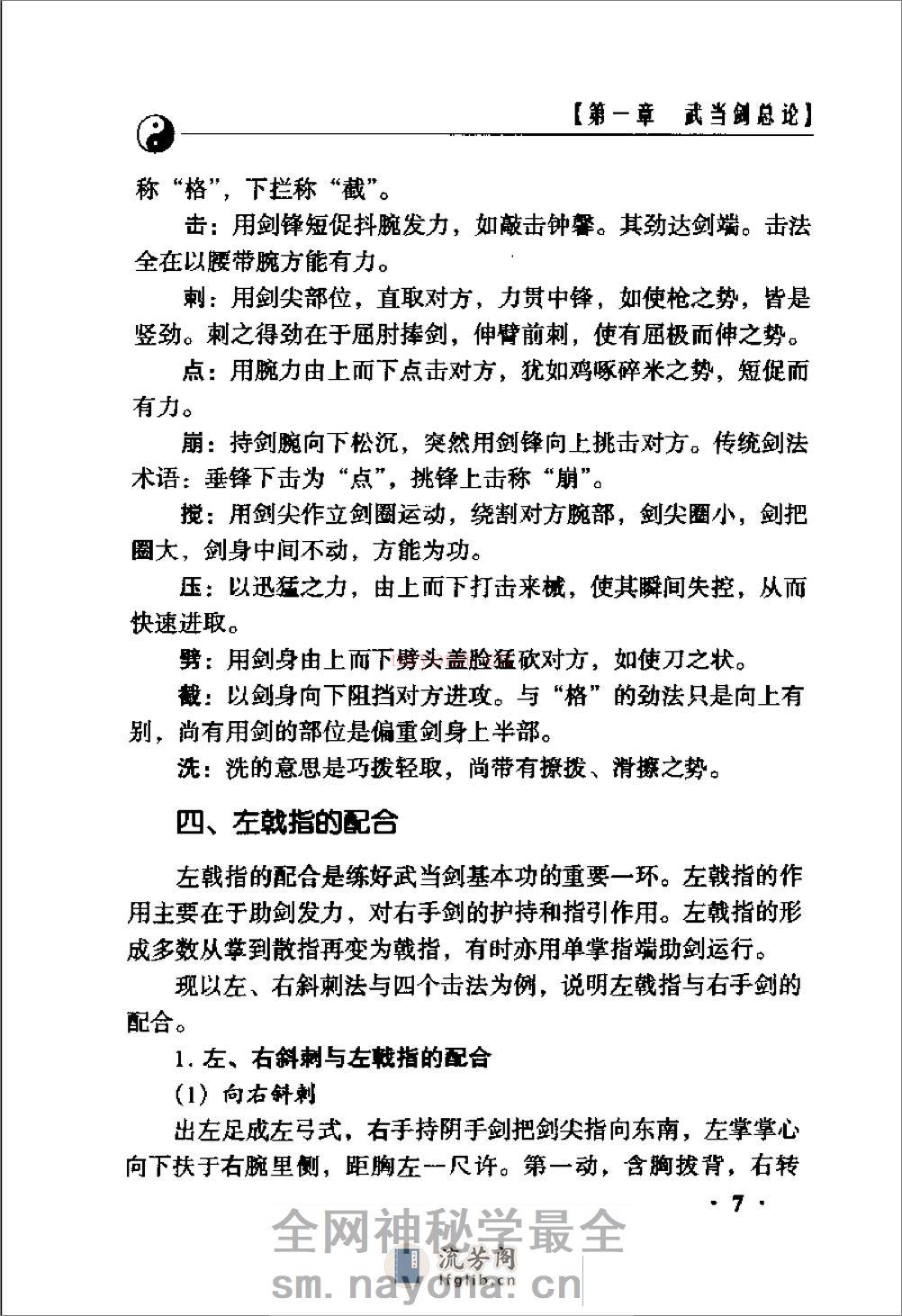 《武当剑：单练暨对剑》朱廉方、张金普 - 第20页预览图