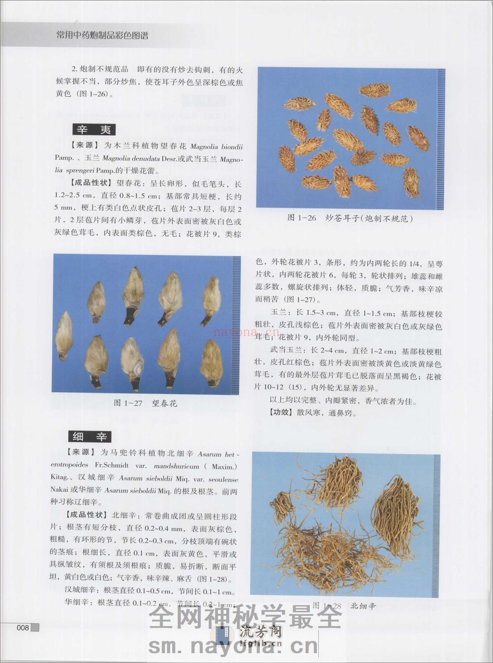 常用中药炮制品彩色图谱（高清版） - 第19页预览图