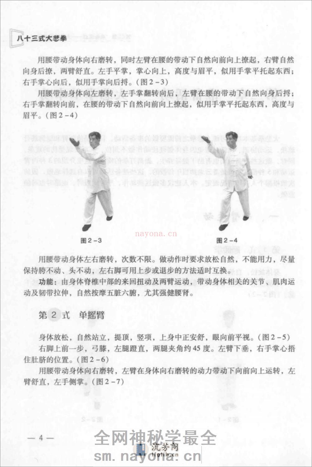 《八十三式大悲拳》王锡森 - 第14页预览图