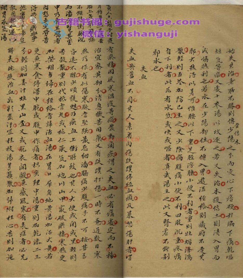 医篰通辨续编一卷后编一卷终编一卷