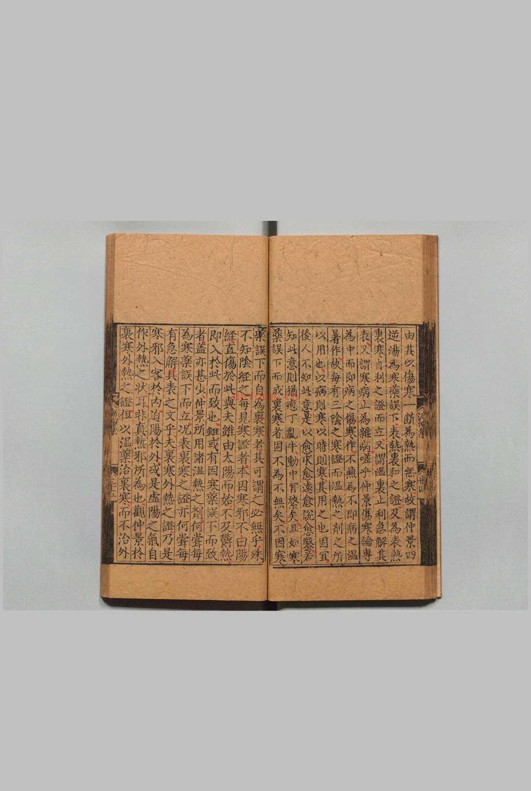 东垣十书 李杲(元)王好古(元)明正德3年 , 熊氏梅隠书堂