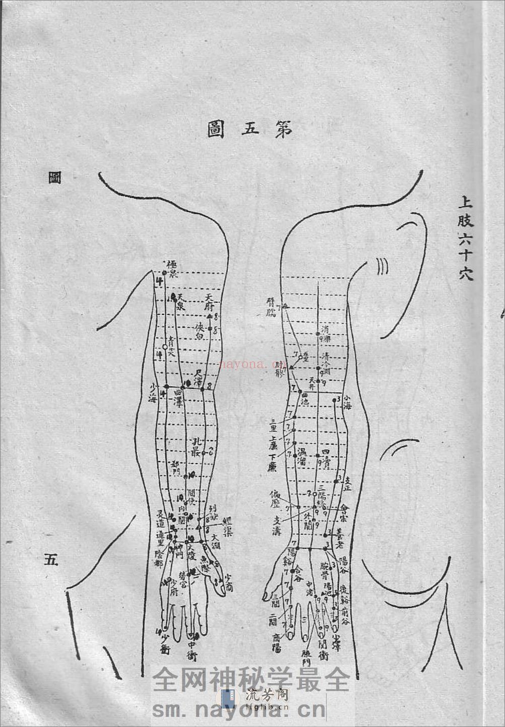 针灸精粹 - 第11页预览图