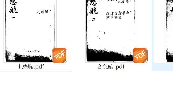 慈航 (慈航胶囊的功能主治)