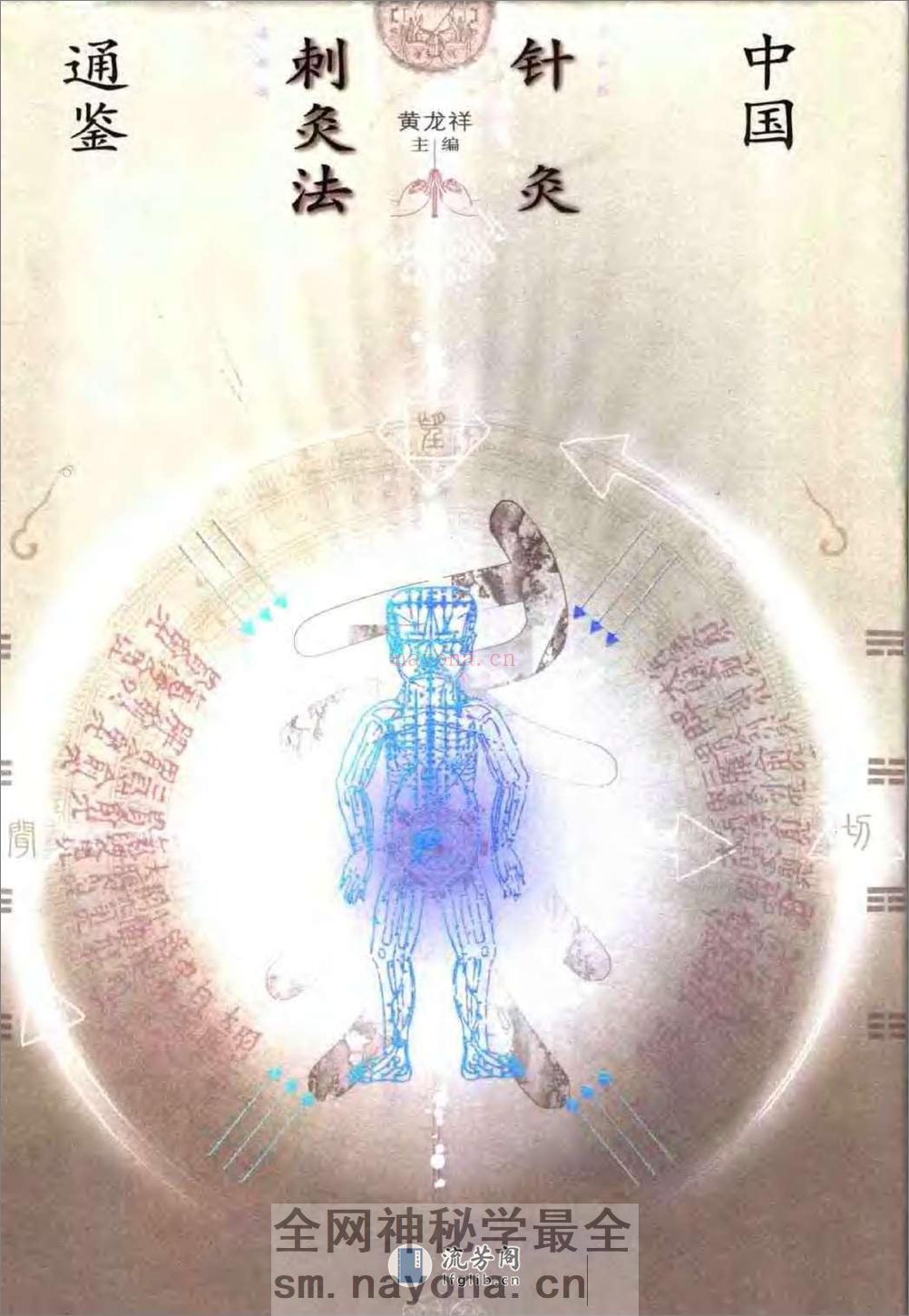 中国针灸刺灸法通鉴 - 第1页预览图