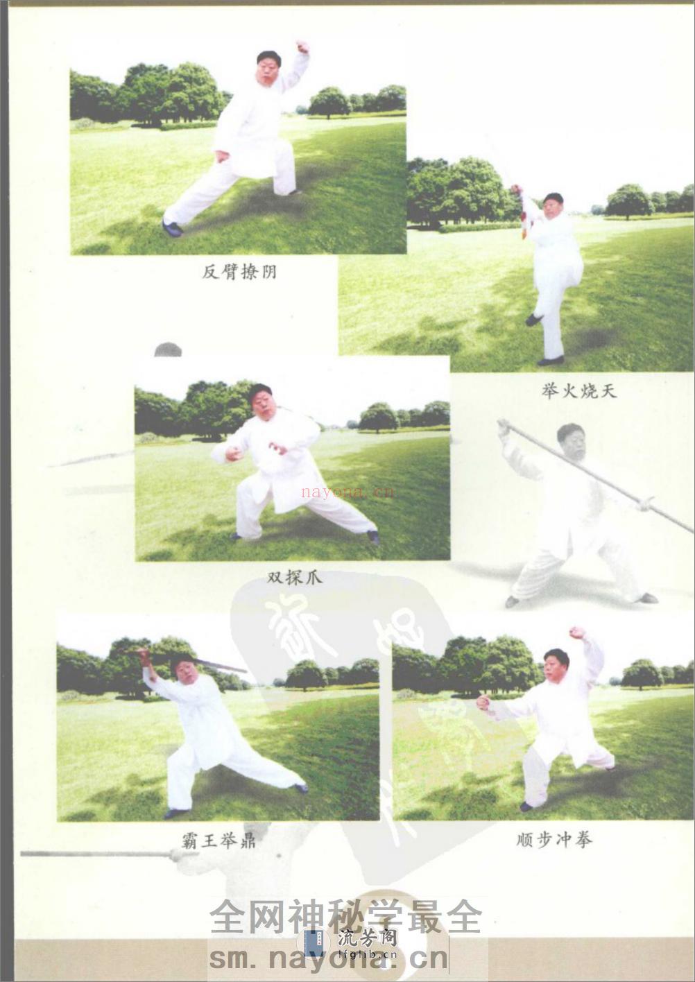 [李派拳法三：李派太极枪刀剑棍].张绍堂.林子宇 - 第11页预览图