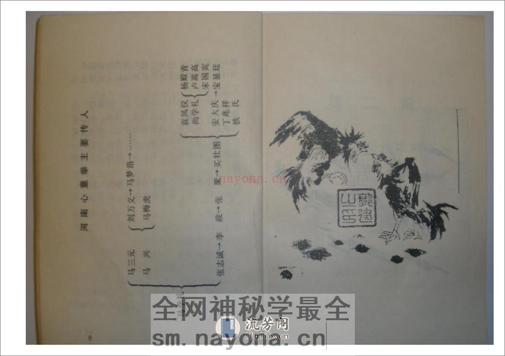 《心意六合拳》李新民 - 第11页预览图