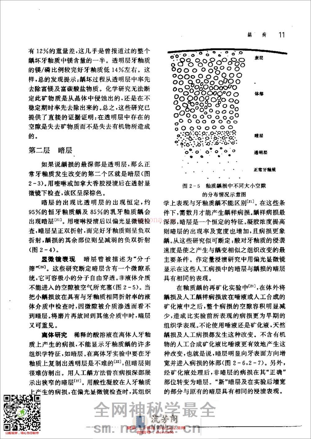 新概念牙体修复学 - 第20页预览图