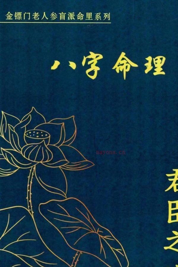 金镖门金标门盲派八字《君臣之道》PDF文档529页