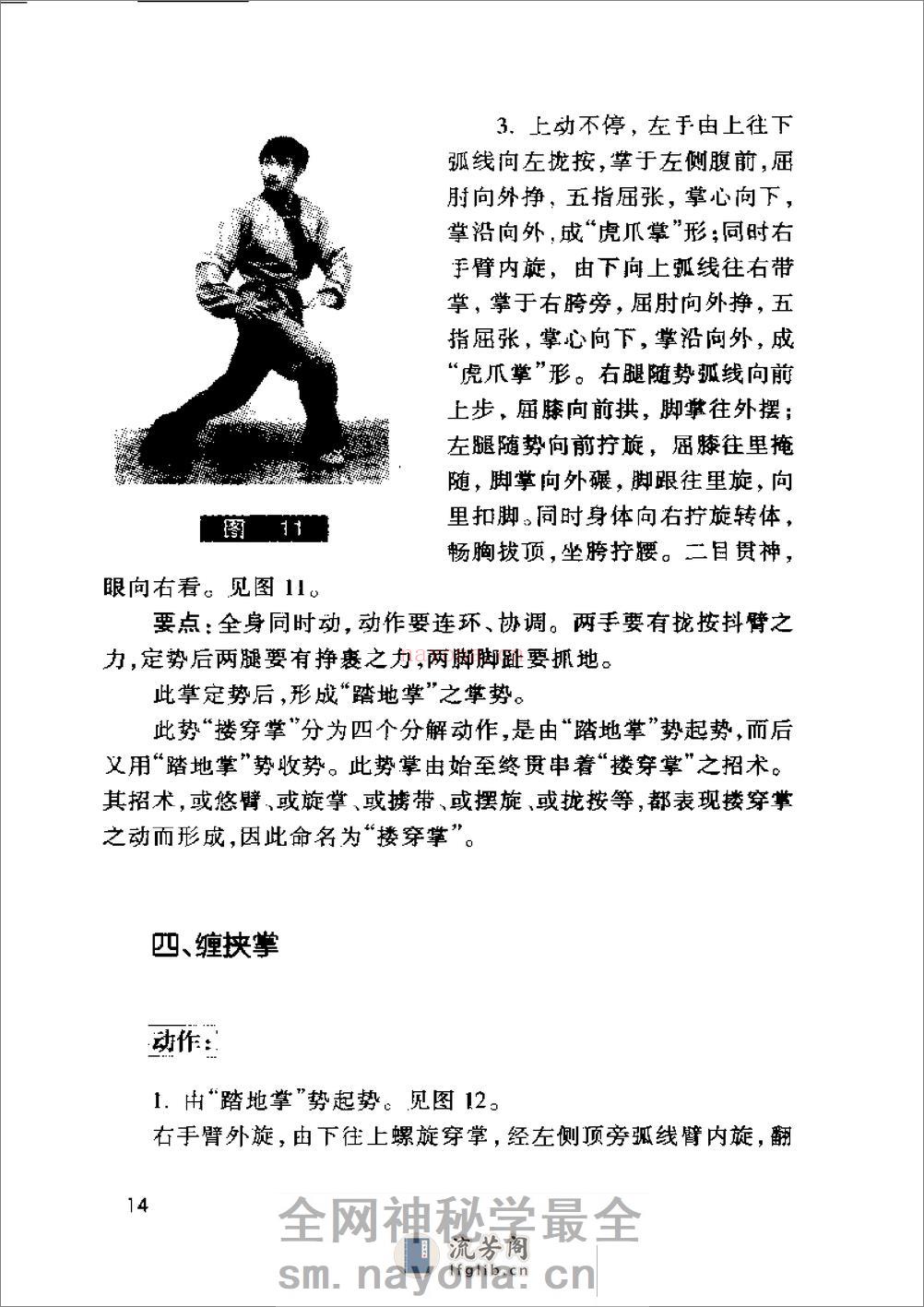 《阴阳八卦掌·狮形掌》田迴、田克延 - 第16页预览图