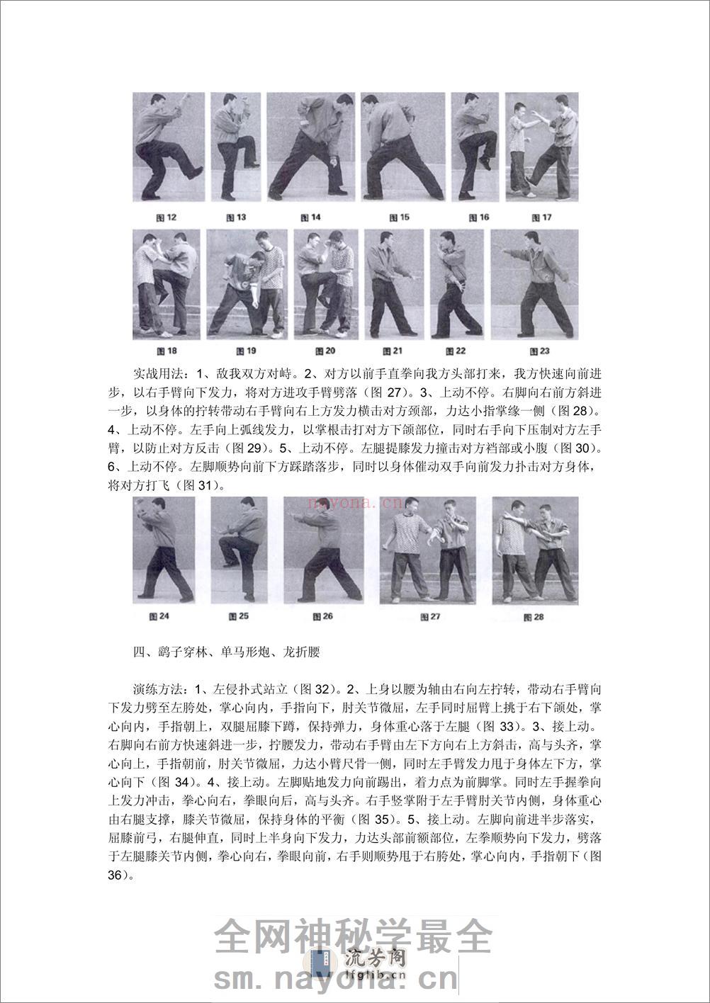 《心意六合拳十形连环演练与实战》王忠海 - 第3页预览图