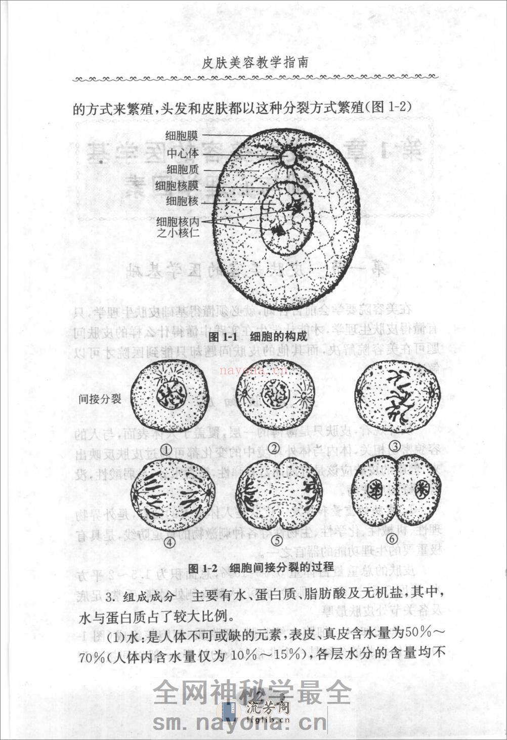 皮肤美容教学指南. - 第18页预览图