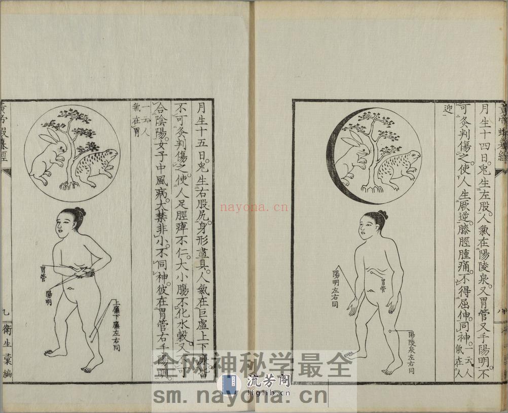 黄帝虾蟇经.一卷.日本文政六年敬业乐群楼刊卫生汇编本 - 第15页预览图
