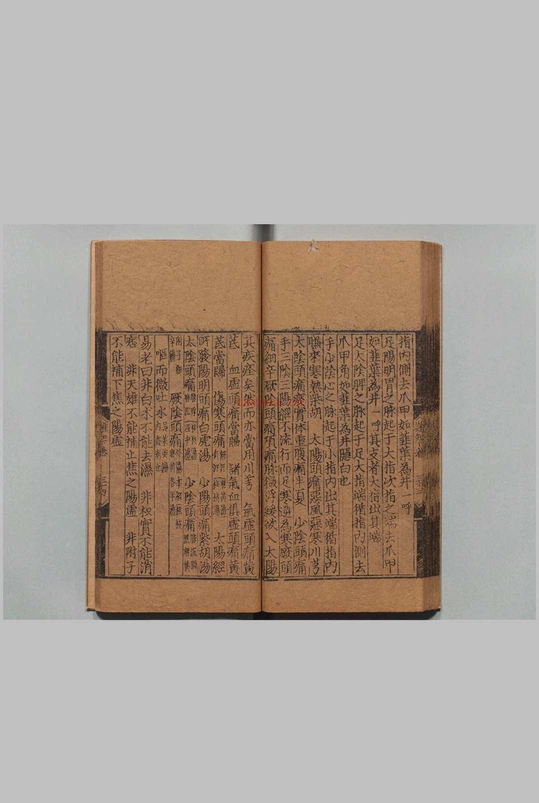 东垣十书 李杲(元)王好古(元)明正德3年 , 熊氏梅隠书堂
