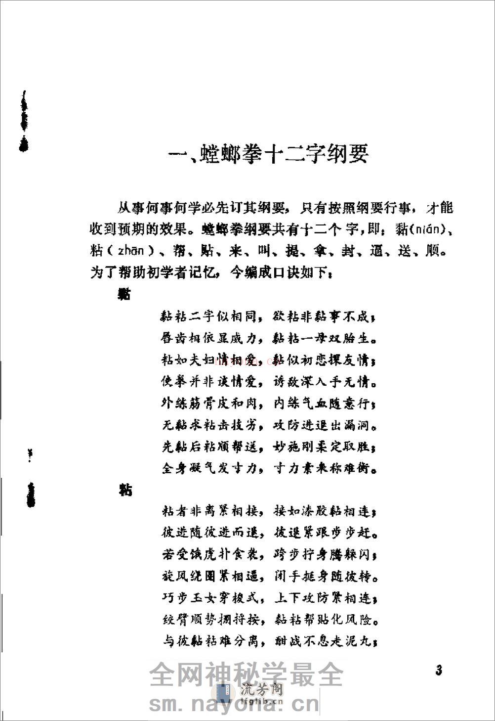 《螳螂拳》王洪发 - 第12页预览图
