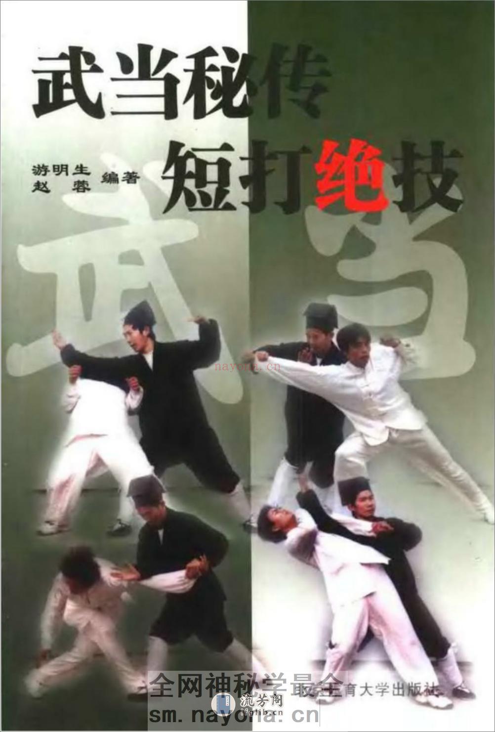 《武当秘传短打绝技》游明生、赵蓉 - 第1页预览图