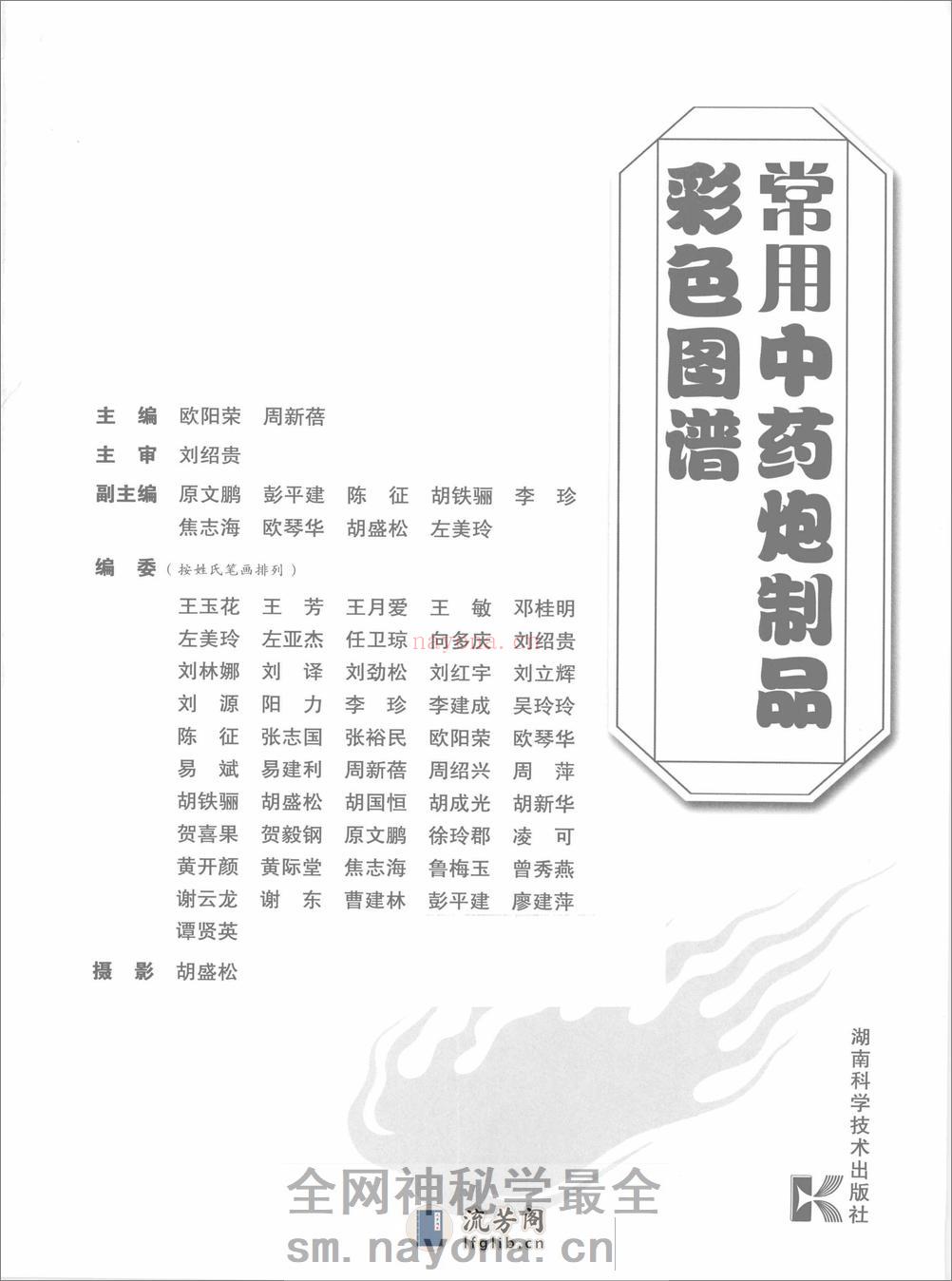 常用中药炮制品彩色图谱（高清版） - 第3页预览图