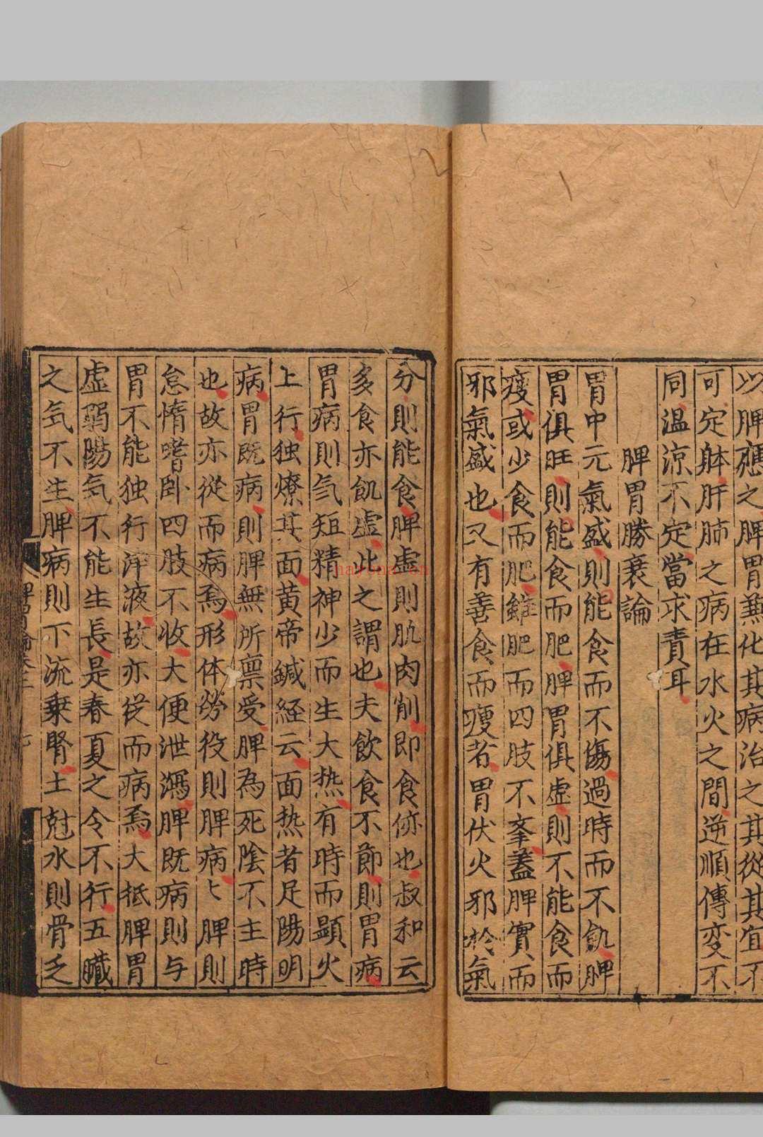 东垣十书 李杲(元)王好古(元)明正德3年 , 熊氏梅隠书堂