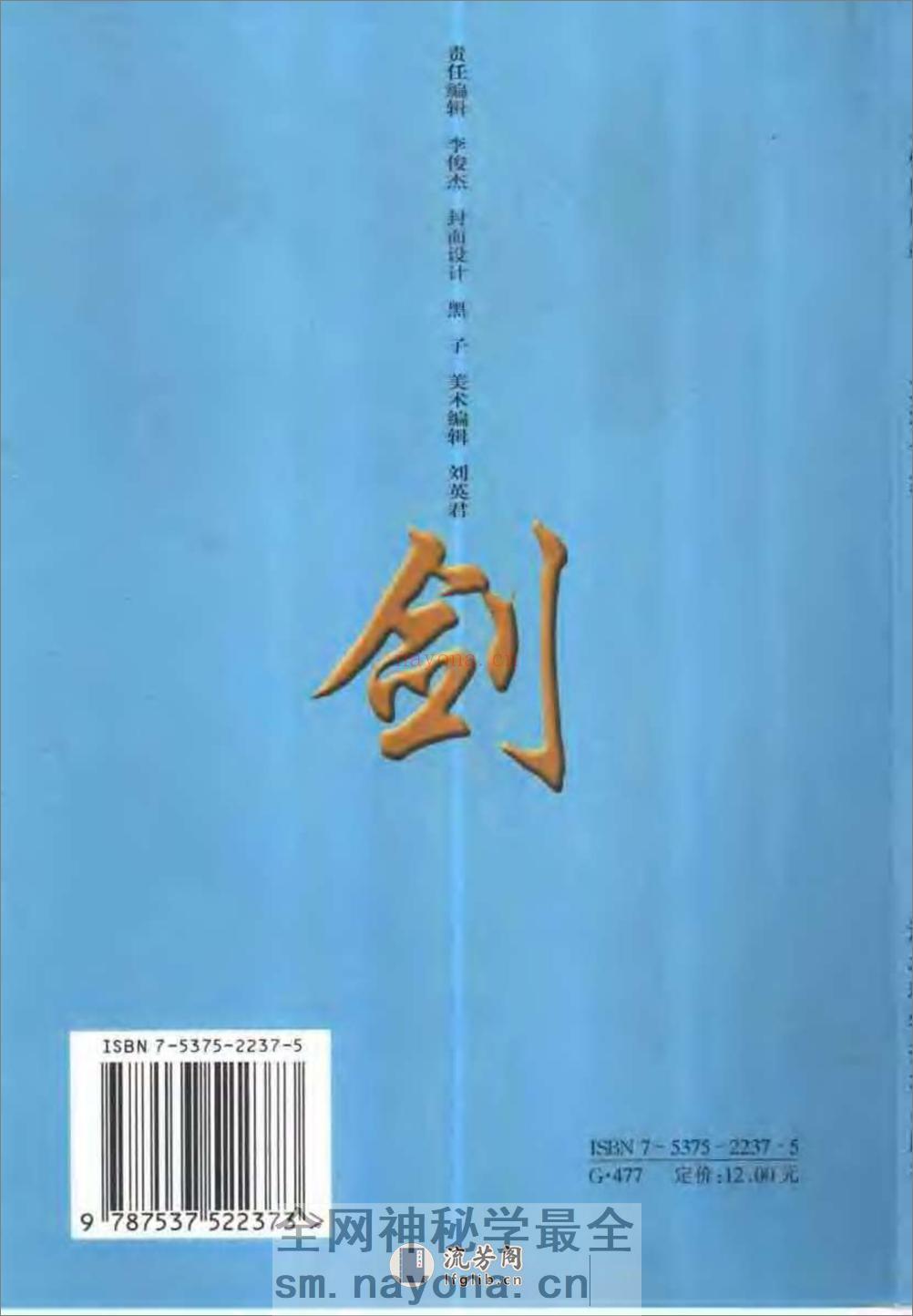 《太极凤凰剑》王天玉 - 第2页预览图