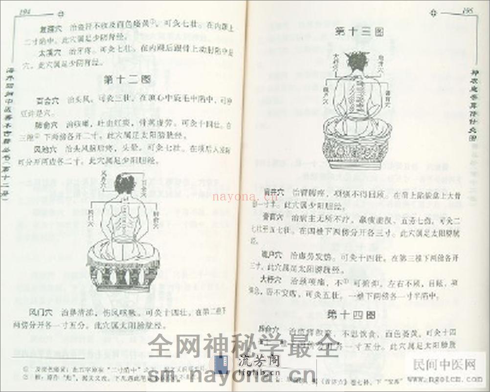 神农皇帝针灸图 - 第11页预览图