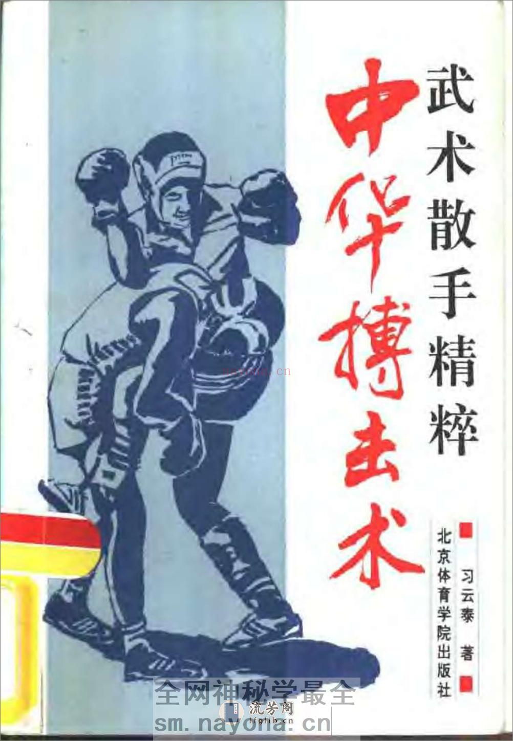 中华搏击术：武术散手精粹（习云泰） - 第1页预览图