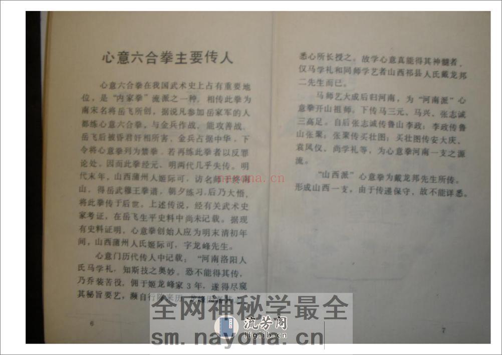《心意六合拳》李新民 - 第10页预览图