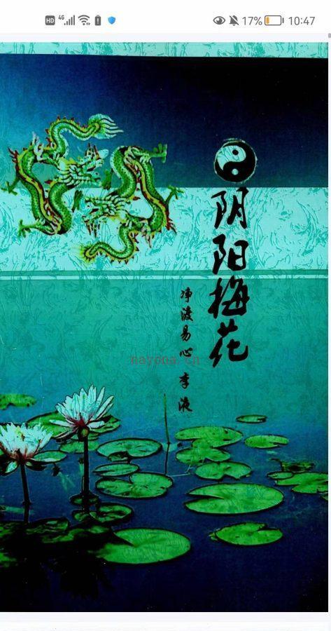 李液阴阳梅花易数，PDF120页