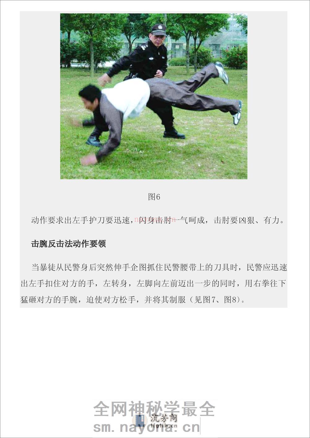 中国警察第一刀防卫术图文教程 - 第12页预览图