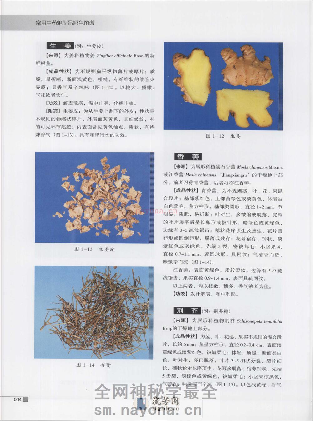常用中药炮制品彩色图谱（高清版） - 第15页预览图