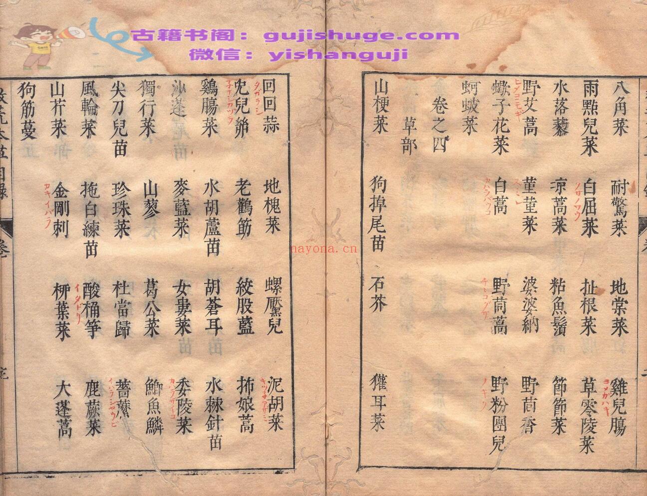 周宪王救荒本草 徐光启 王磐 明刊本