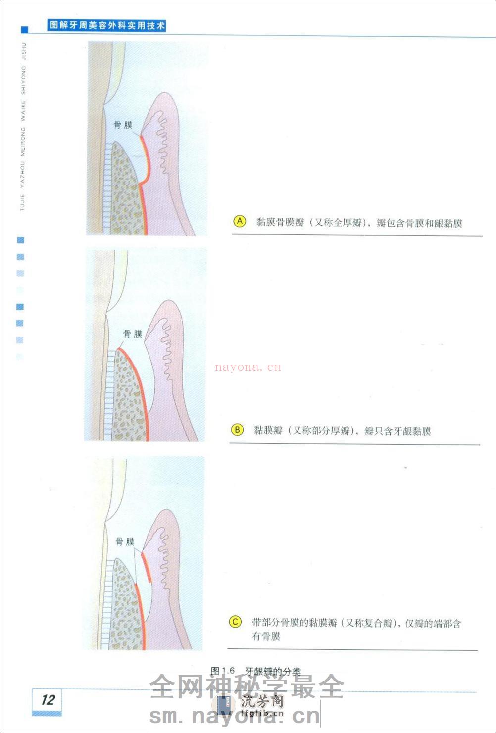 图解牙周美容外科实用技术 - 第19页预览图