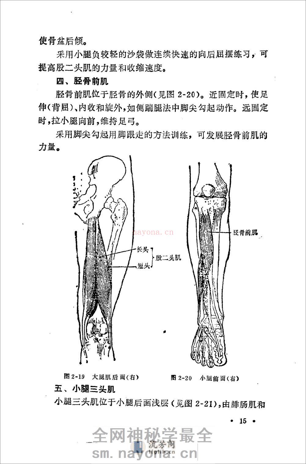 《腿击法108势》 - 第18页预览图