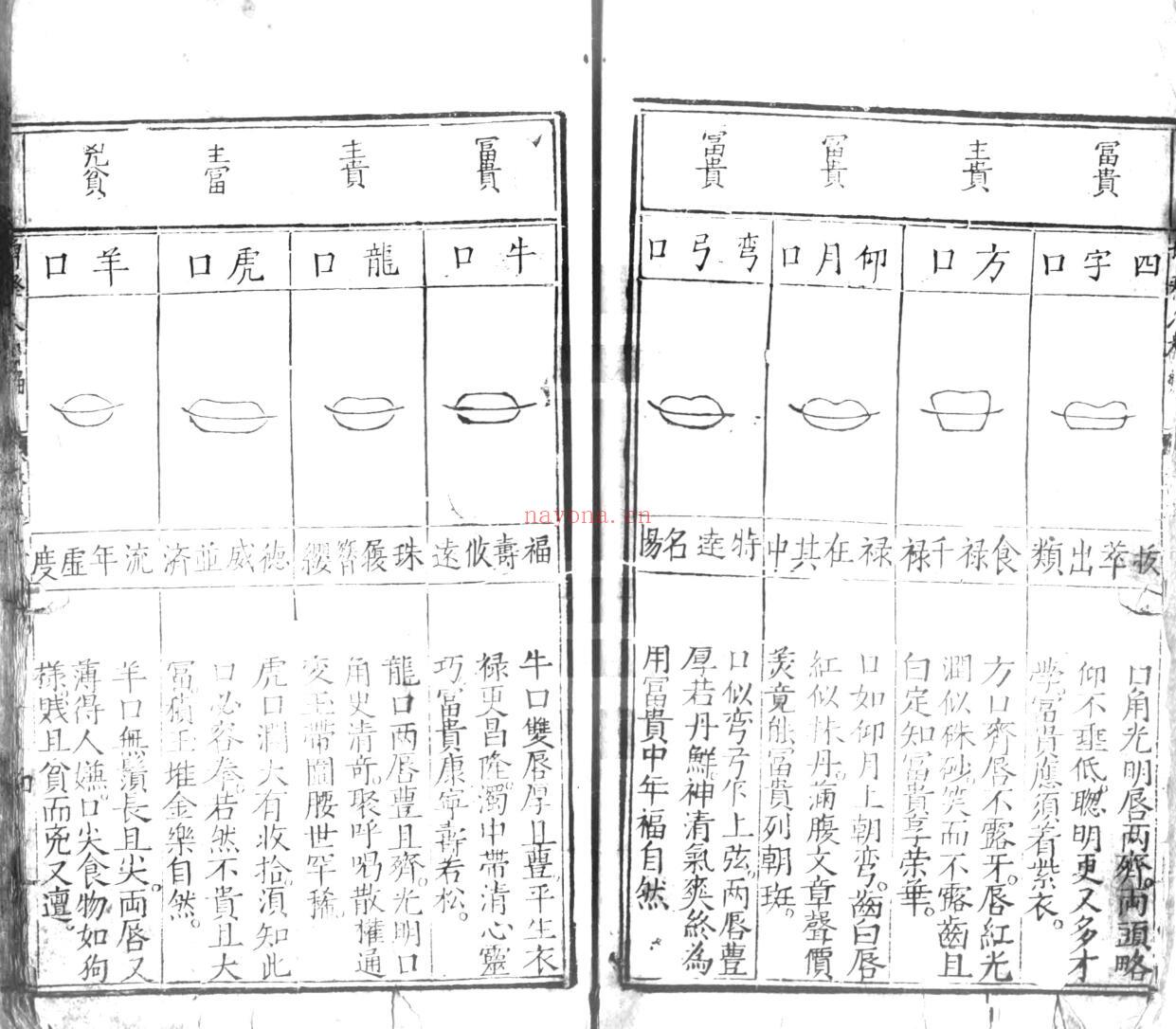 合併麻衣先生人相编