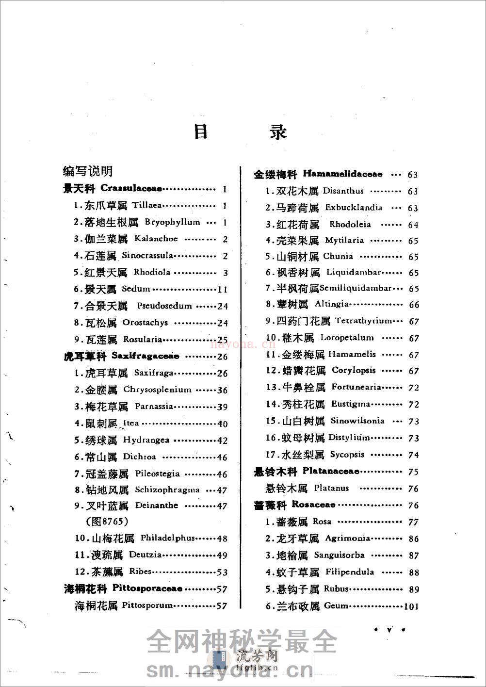 中国高等植物图鉴.补编第二册 - 第7页预览图