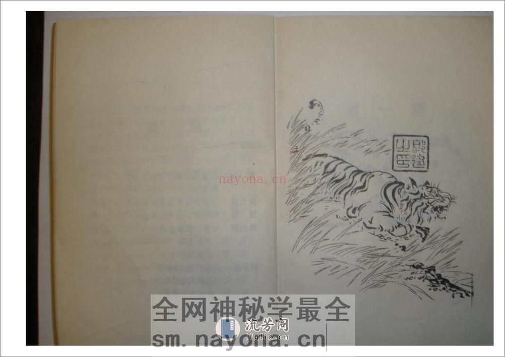 《心意六合拳》李新民 - 第8页预览图