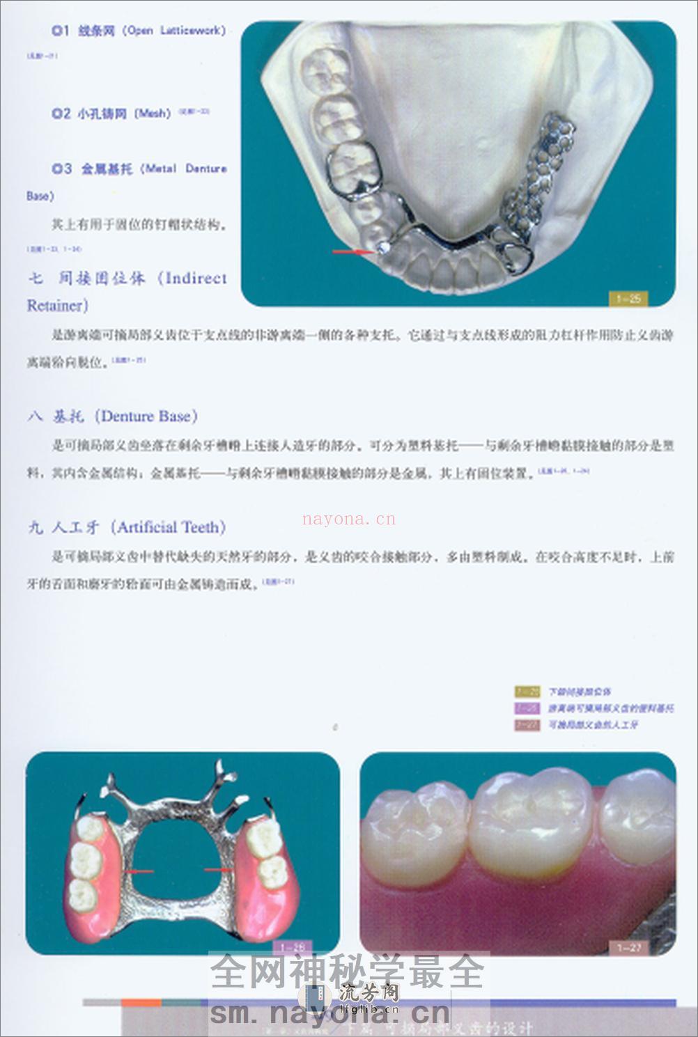 可摘义齿 - 第8页预览图