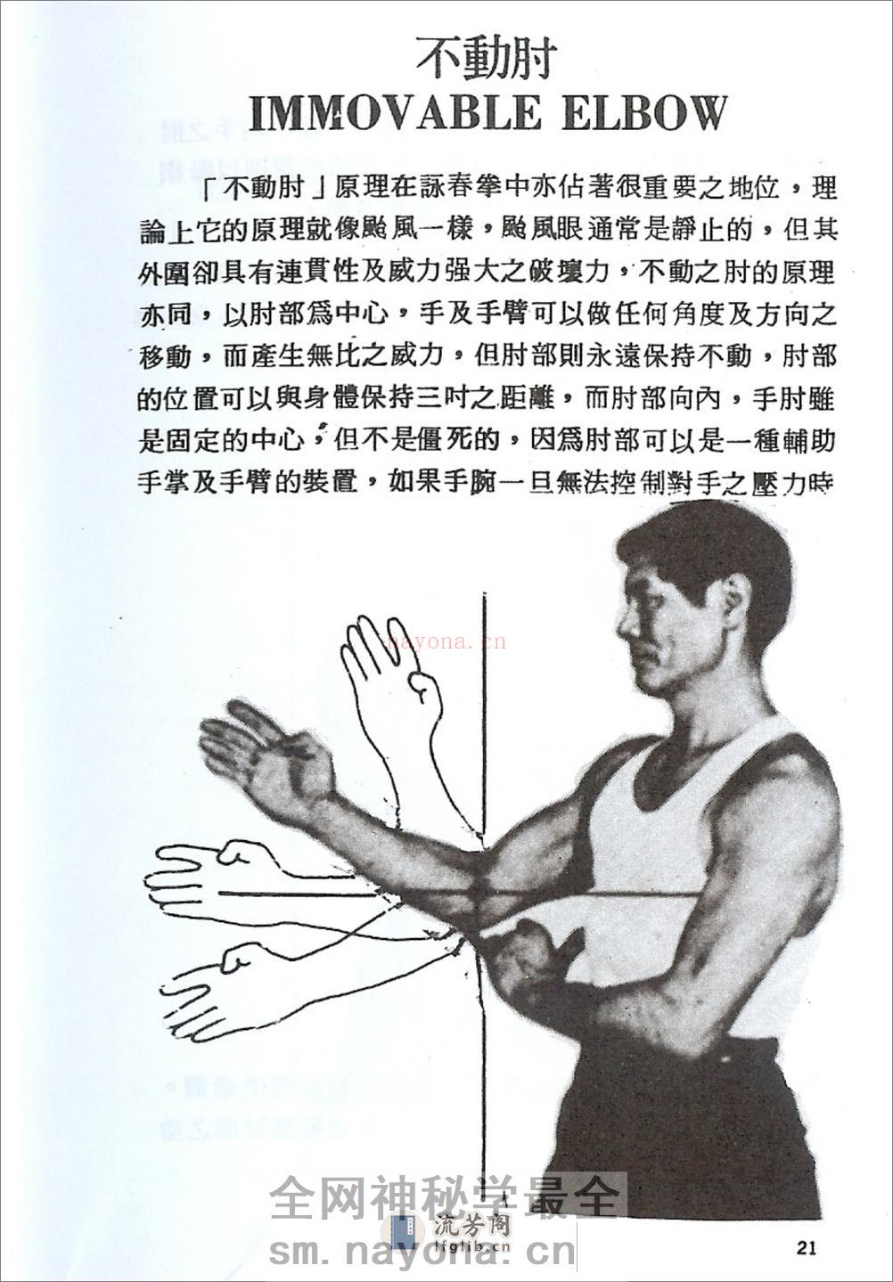 《图解咏春拳》李运（严镜海）、李小龙 - 第20页预览图