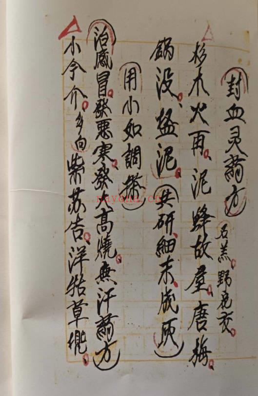 民间失传草药书