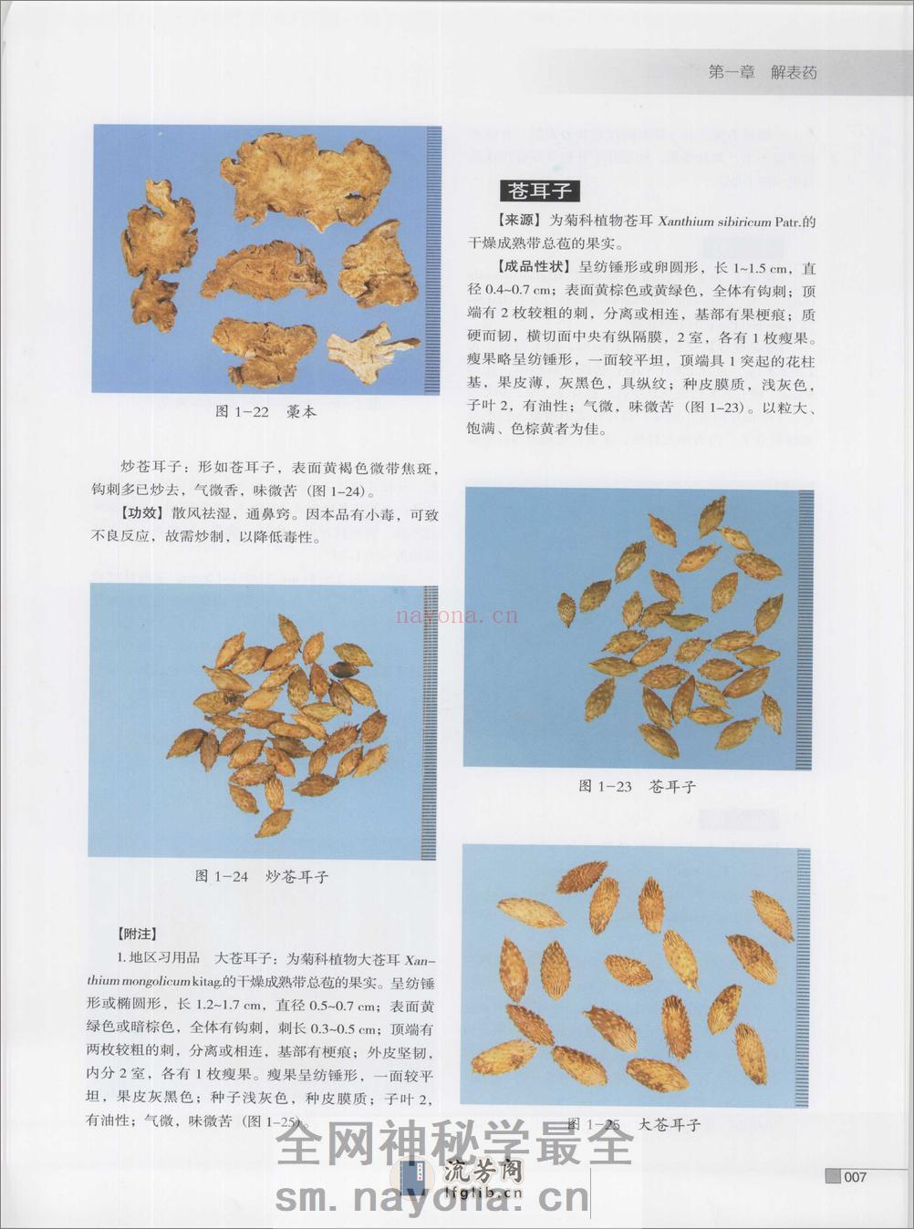 常用中药炮制品彩色图谱（高清版） - 第18页预览图