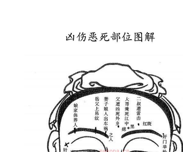 祖传相师 《民间相师看相秘法》 (祖传相师 《民间相师看相秘法》全文)