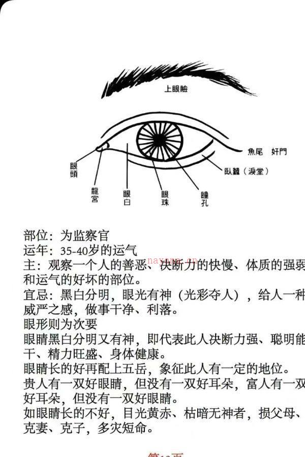 痣斑面相秘笈《痣斑纹相风水全书》PDF文档510页