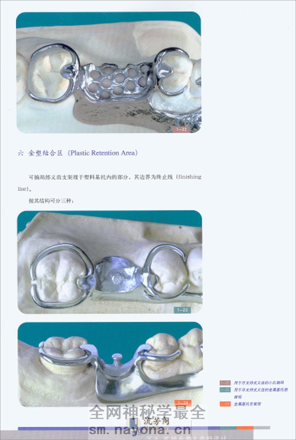 可摘义齿 - 第7页预览图